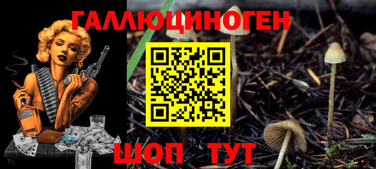 Галлюциногенные грибы MAGIC MUSHROOMS Кострома